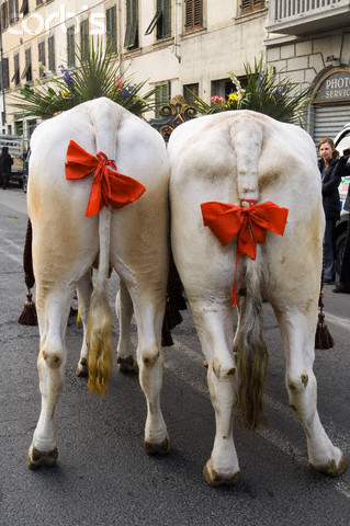 cadeau!!!!!!!!