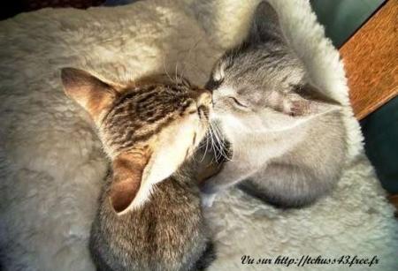 et la tendresse bordel !!!!!!!
