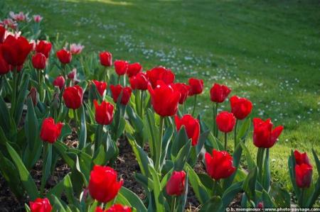 bon printemps a tous