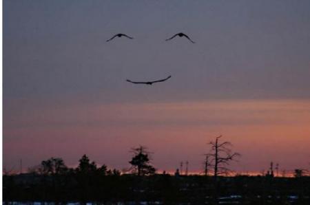 demain, peut etre................