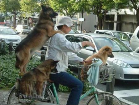 promenade en famille..