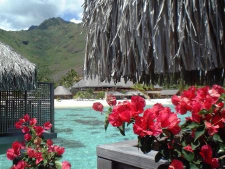 tahiti-martinique- guadeloupe etc etc