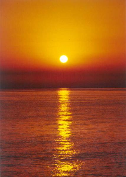 soleil mon ami !!!!!