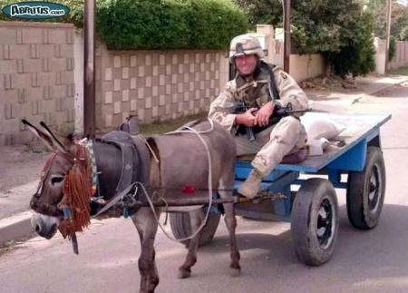 et va joli petit ane