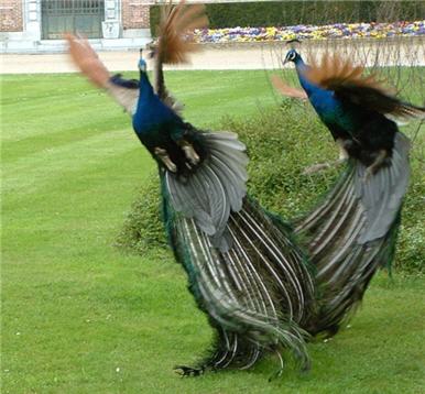 ca se discute...............