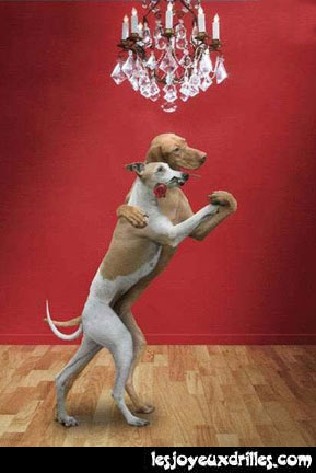 tango, tango