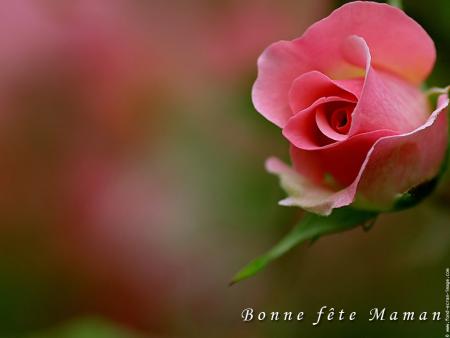 demain.............