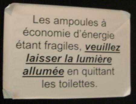 avis