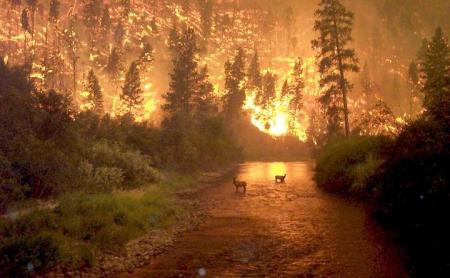 incendie ou coucher de soleil???????