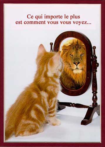 tel on est, tel on se voit !!!!!!!!!