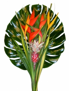 yamassoukro