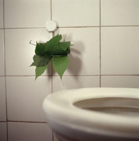 écologie