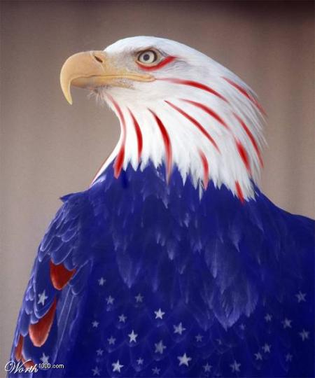 du haut de son aire, mon aigle vous dit :