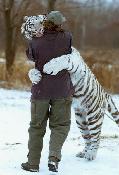 le grand amour !
