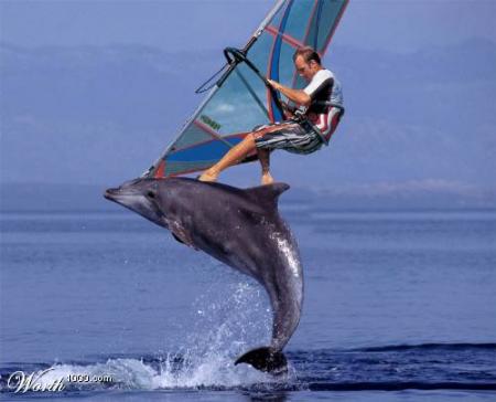 plus haut, toujours plus haut !!!!!!!