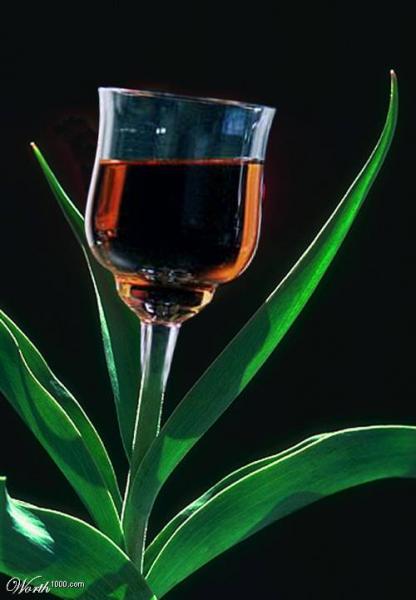 une liqueur digestive pour bercer votre nuit, faites de dous rêves