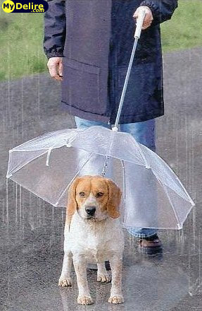 ballade sous la pluie