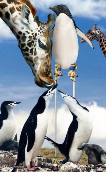 spectacle de cirque........