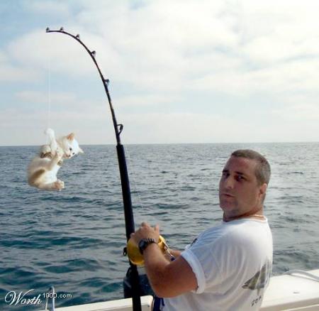 Pêche miraculeuse