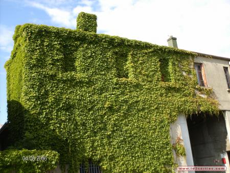 facade décrépite.............