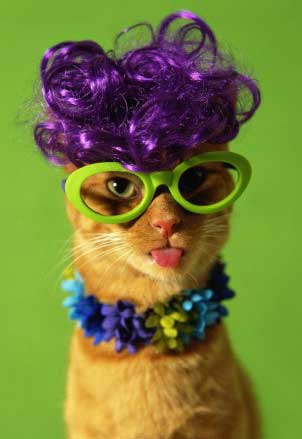 mignon chatton