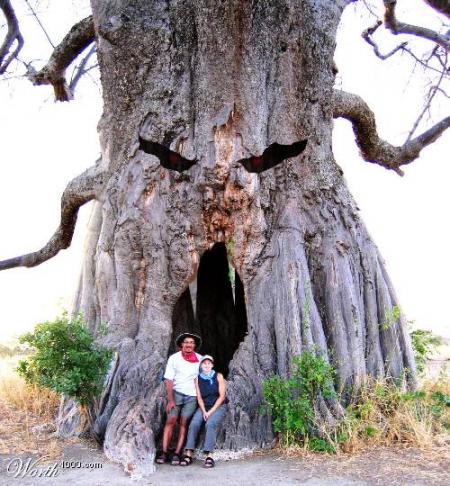 aupres de mon arbre !!!!