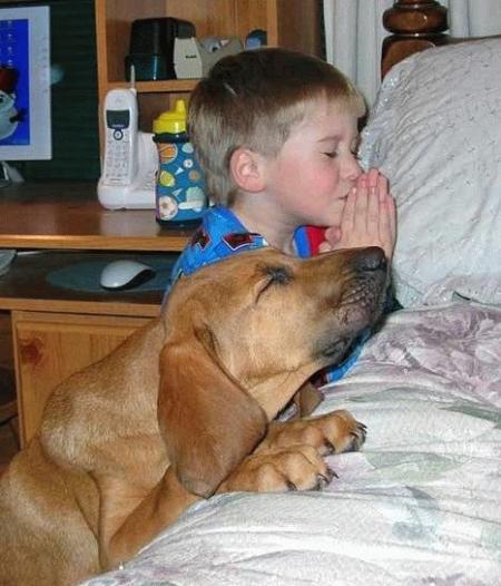 prions oui...............