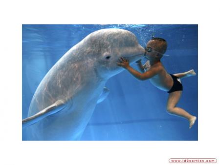 tendresse ô tendresse