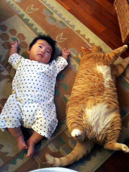 c'est tout mignon !