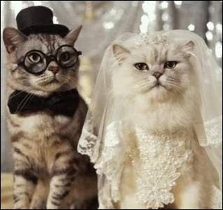 quel beau couple