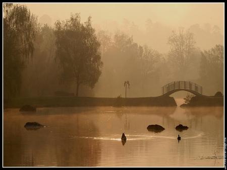 brouillard !
