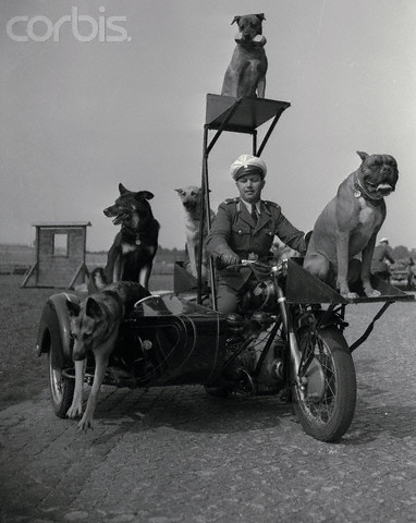 sur la route