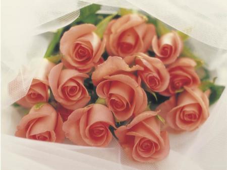 des fleurs pour vous