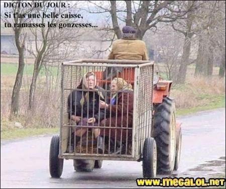 transport