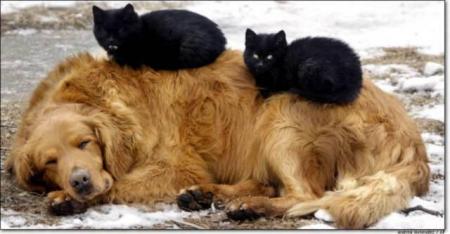 la tendresse