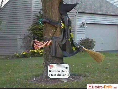 grognon !!!!!!!!!!!!