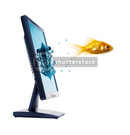 hum