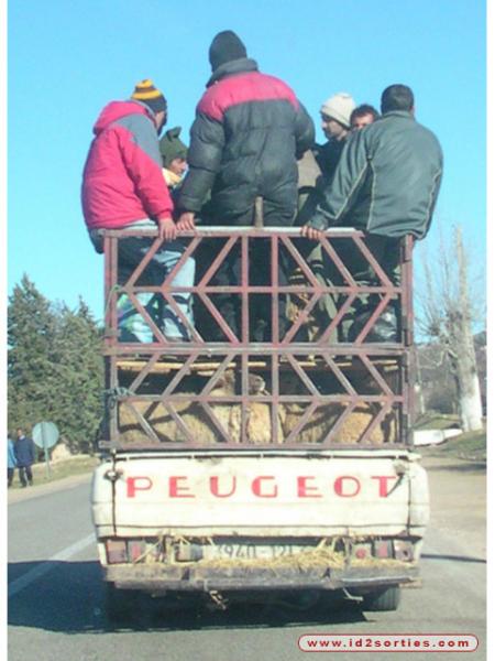 transport
