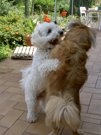 tendresse