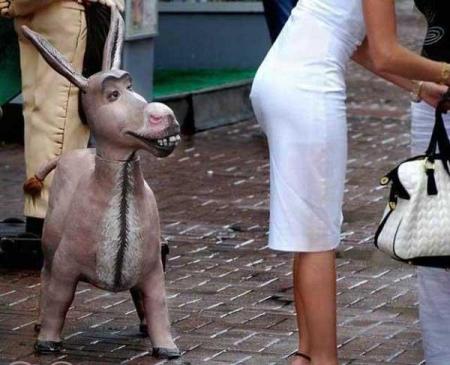 curieux ..........